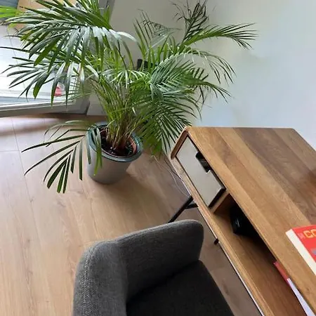Appartamento Le Petit Bruxelles Au Calme Tolosa Esterno foto