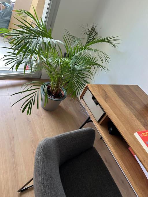 Le Petit Bruxelles Au Calme Appartement *